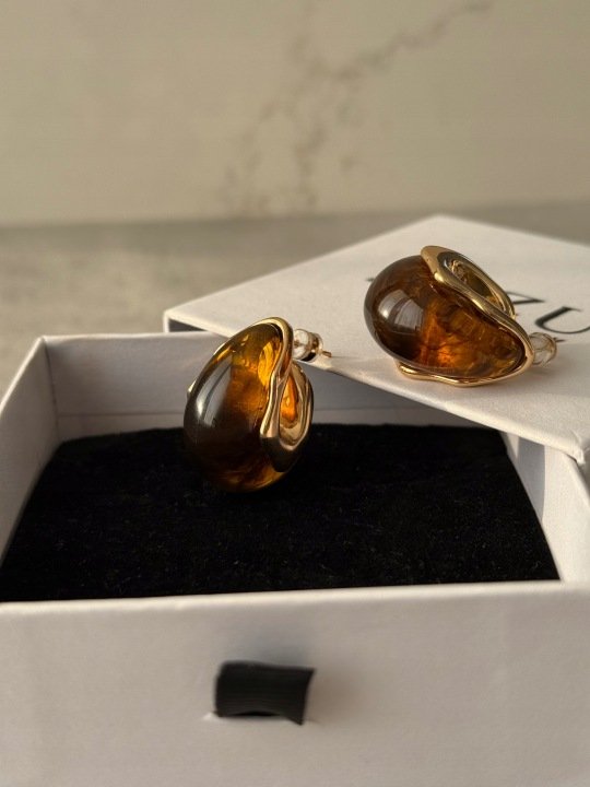 Zezu Jewelry Amber Drop Earrings Cognac Color